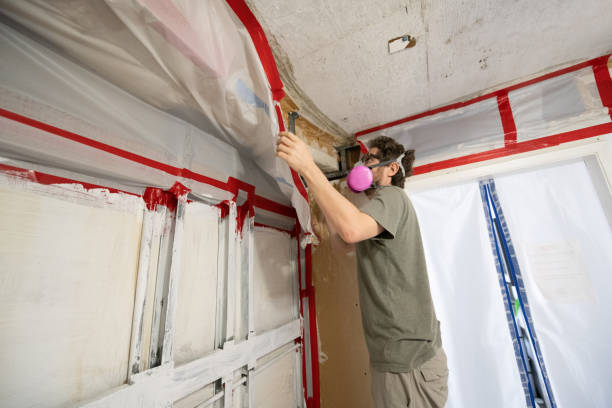Best Water Damage & Mold Remediation  in Lake Mathews, CA