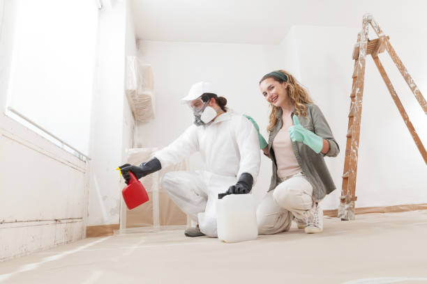 Professional Mold Removal in Lake Mathews, CA