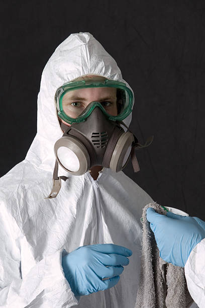 Best Basement Mold Removal  in Lake Mathews, CA